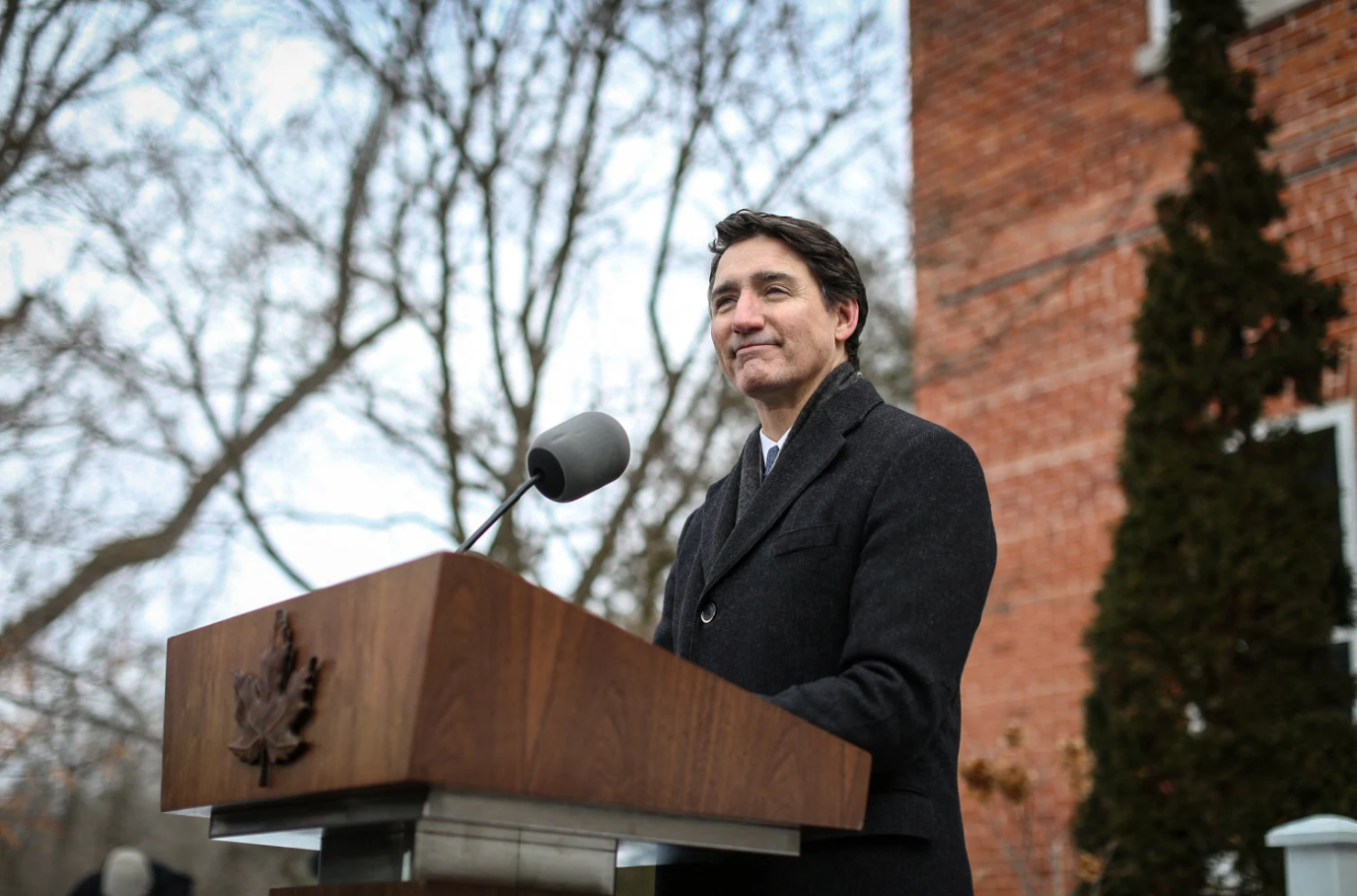 Screenshot 2025-01-11 205004