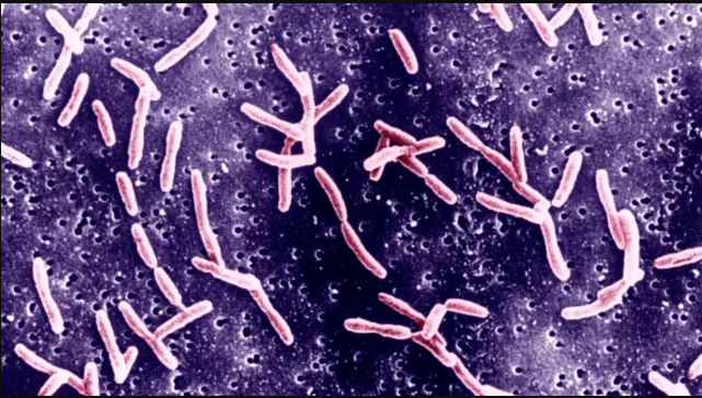 Screenshot 2025-02-11 201652