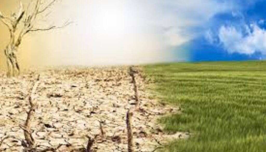 Climate Change and Environmental Advocacy