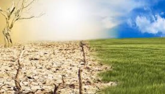 Climate Change and Environmental Advocacy