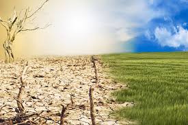 Climate Change and Environmental Advocacy